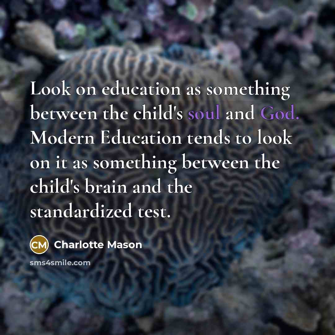 “Look on education as something between the child's soul and God. Modern Education tends to look on it as something between the child's brain and the standardized test.” quote by Charlotte Mason