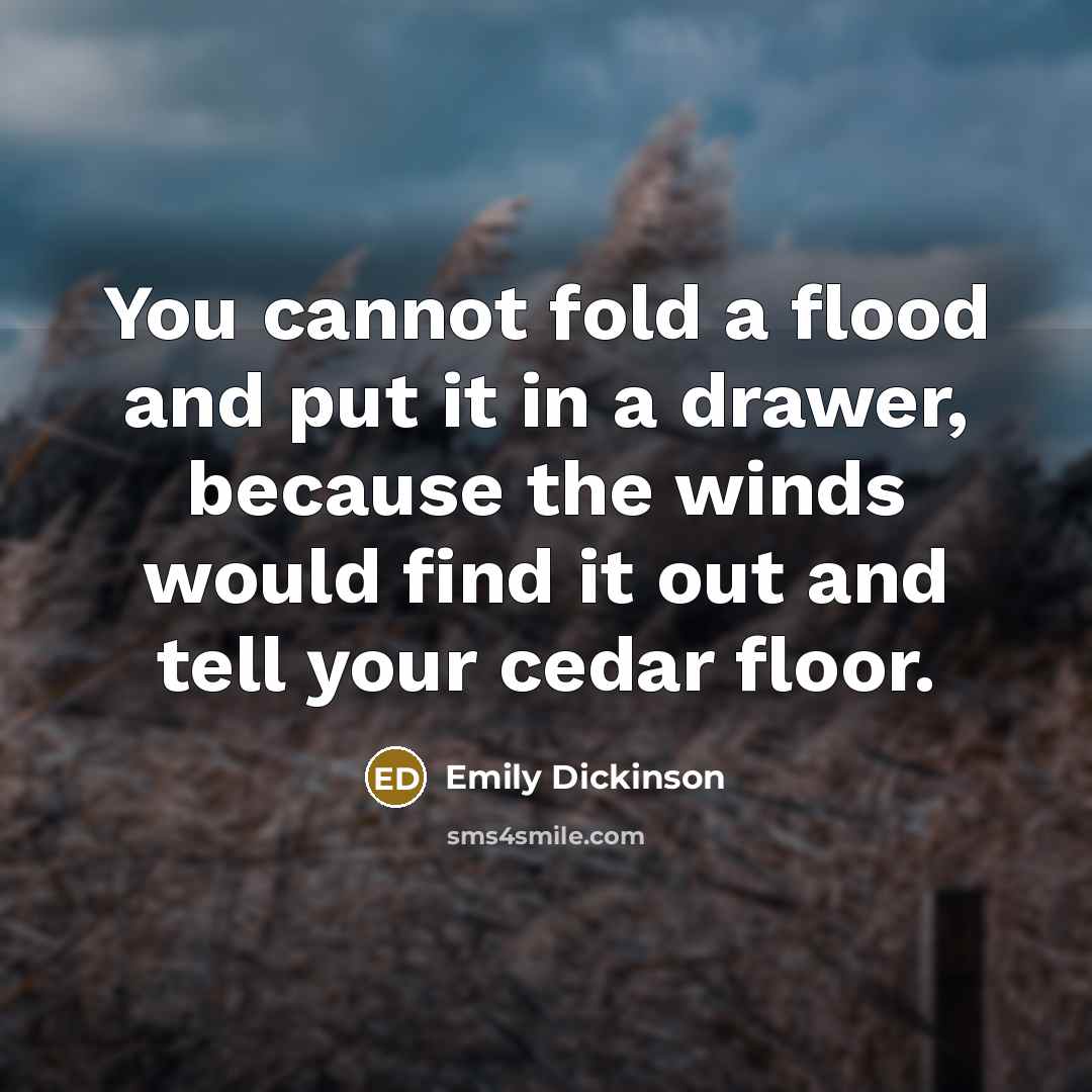“You cannot fold a flood and put it in a drawer, because the winds would find it out and tell your cedar floor.” quote by Emily Dickinson