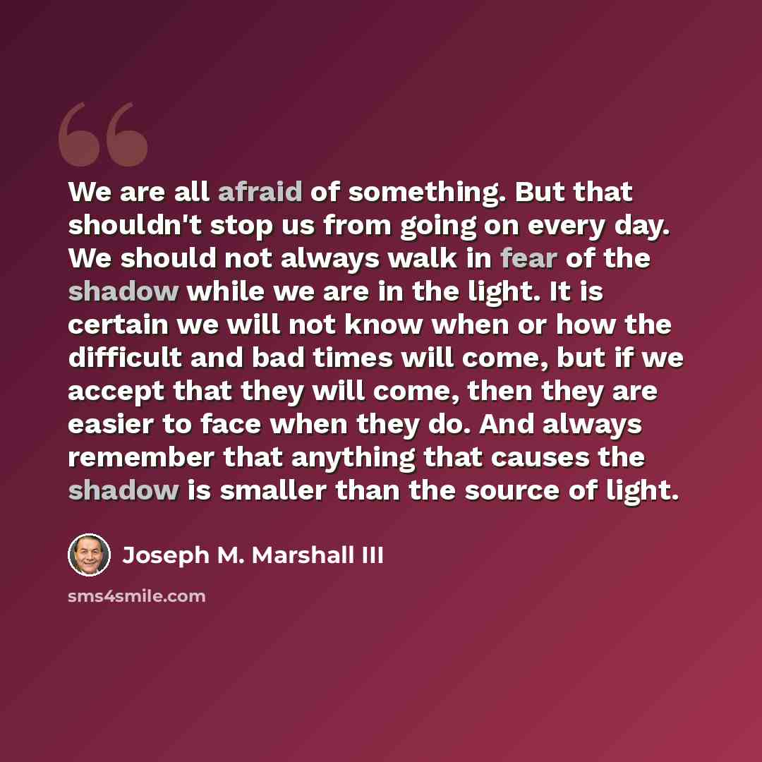 “We are all afraid of something. But that shouldn't stop us from going on every day. We should not always walk in fear of the shadow while we are in the light. It is certain we will not know when or how the difficult and bad times will come, but if we accept that they will come, then they are…” quote by Joseph M. Marshall III