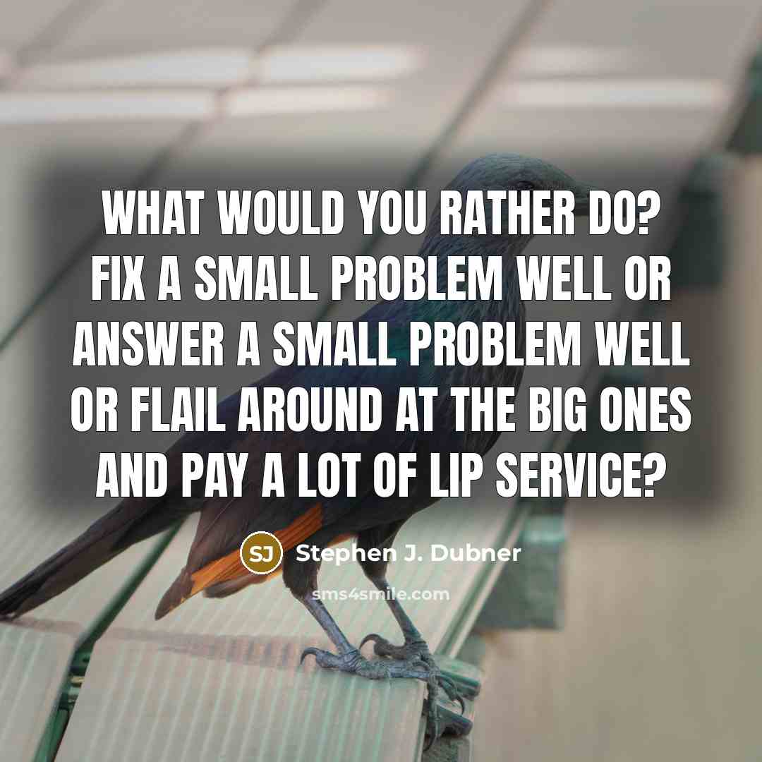 “What would you rather do? Fix a small problem well or answer a small problem well or flail around at the big ones and pay a lot of lip service?” quote by Stephen J. Dubner