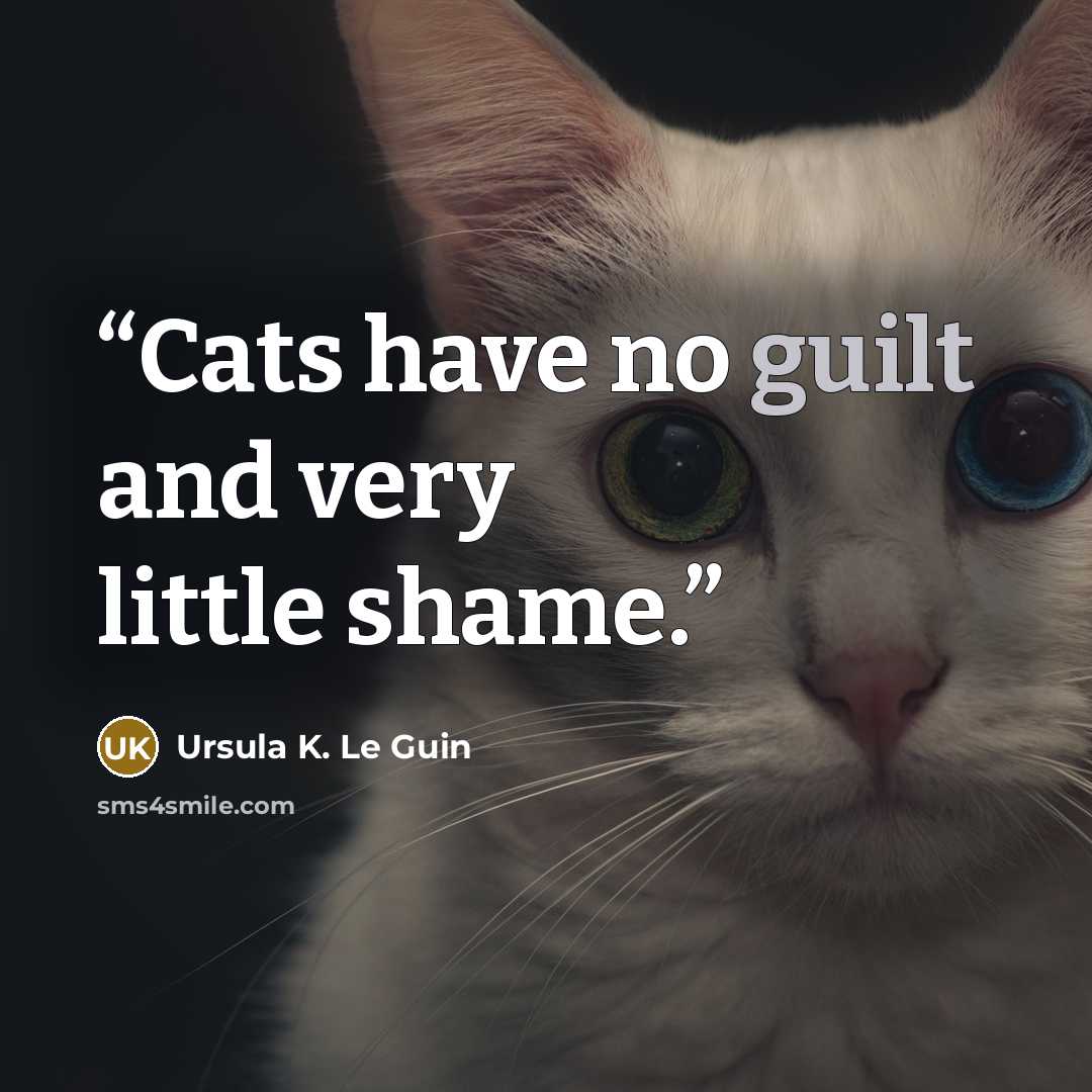 “Cats have no guilt and very little shame.” quote by Ursula K. Le Guin