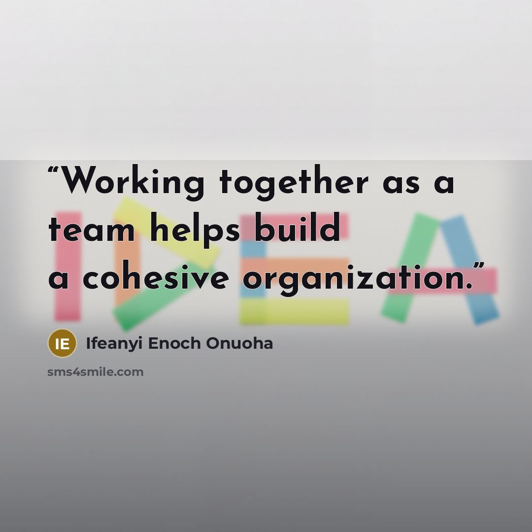 “Working together as a team helps build a cohesive organization.” quote by Ifeanyi Enoch Onuoha