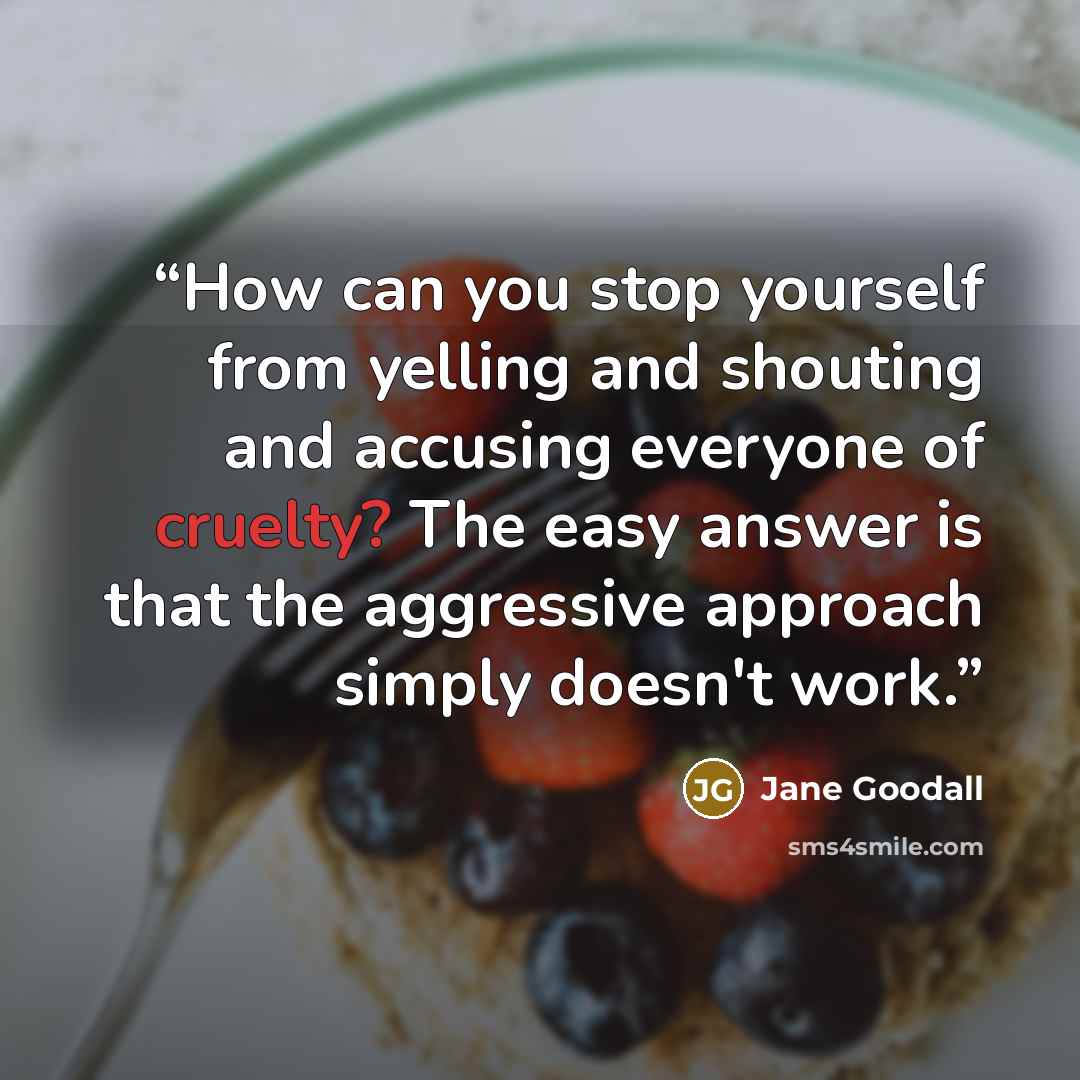 “How can you stop yourself from yelling and shouting and accusing everyone of cruelty? The easy answer is that the aggressive approach simply doesn't work.” quote by Jane Goodall