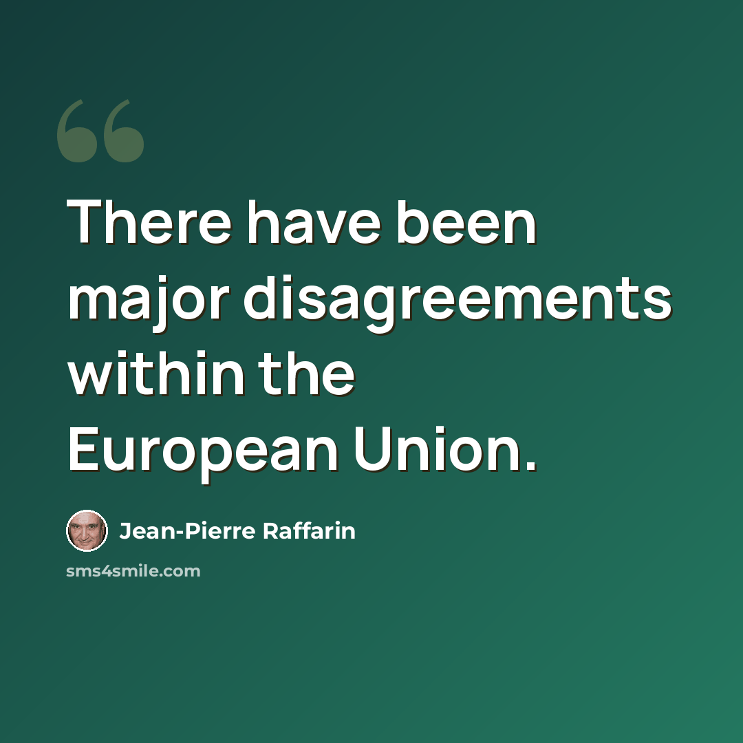 “There have been major disagreements within the European Union.” quote by Jean-Pierre Raffarin