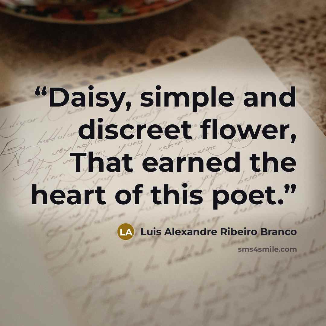 “Daisy, simple and discreet flower, That earned the heart of this poet.” quote by Luis Alexandre Ribeiro Branco