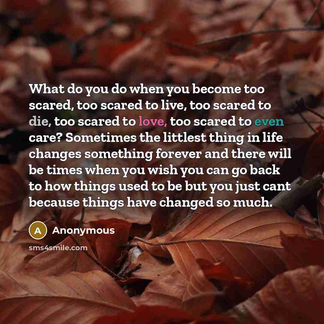 “What do you do when you become too scared, too scared to live, too scared to die, too scared to love, too scared to even care? Sometimes the littlest thing in life changes something forever and there will be times when you wish you can go back to how things used to be but you just cant because…” quote by Anonymous