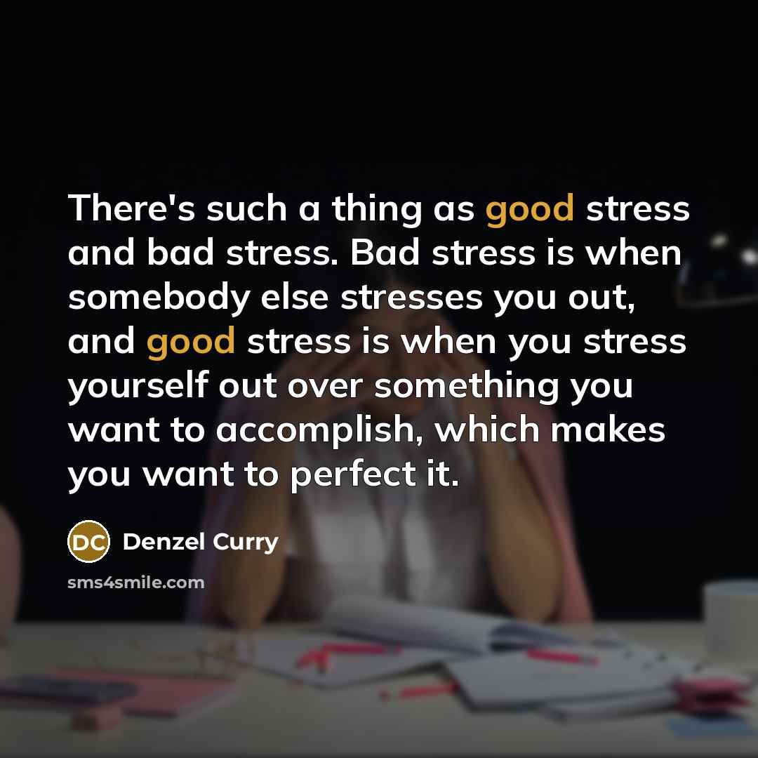 “There's such a thing as good stress and bad stress. Bad stress is when somebody else stresses you out, and good stress is when you stress yourself out over something you want to accomplish, which makes you want to perfect it.” quote by Denzel Curry