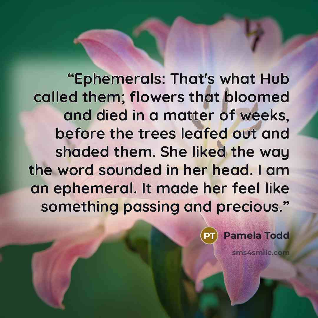 “Ephemerals: That's what Hub called them; flowers that bloomed and died in a matter of weeks, before the trees leafed out and shaded them. She liked the way the word sounded in her head. I am an ephemeral. It made her feel like something passing and precious.” quote by Pamela Todd