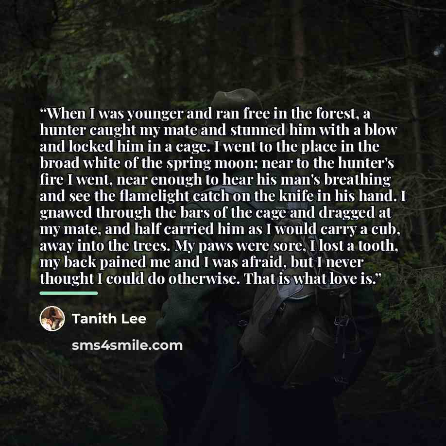 “When I was younger and ran free in the forest, a hunter caught my mate and stunned him with a blow and locked him in a cage. I went to the place in the broad white of the spring moon; near to the hunter's fire I went, near enough to hear his man's breathing and see the flamelight catch on the…” quote by Tanith Lee
