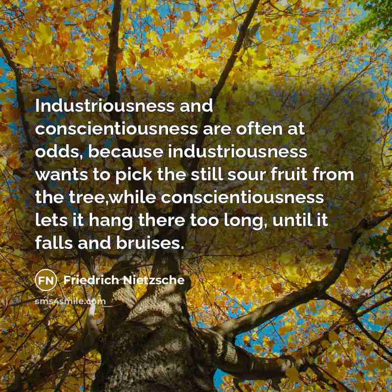 “Industriousness and conscientiousness are often at odds, because industriousness wants to pick the still sour fruit from the tree,while conscientiousness lets it hang there too long, until it falls and bruises.” quote by Friedrich Nietzsche