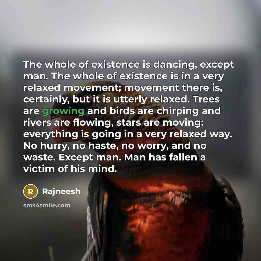 “The whole of existence is dancing, except man. The whole of existence is in a very relaxed movement; movement there is, certainly, but it is utterly relaxed. Trees are growing and birds are chirping and rivers are flowing, stars are moving: everything is going in a very relaxed way. No hurry, no…” quote by Rajneesh