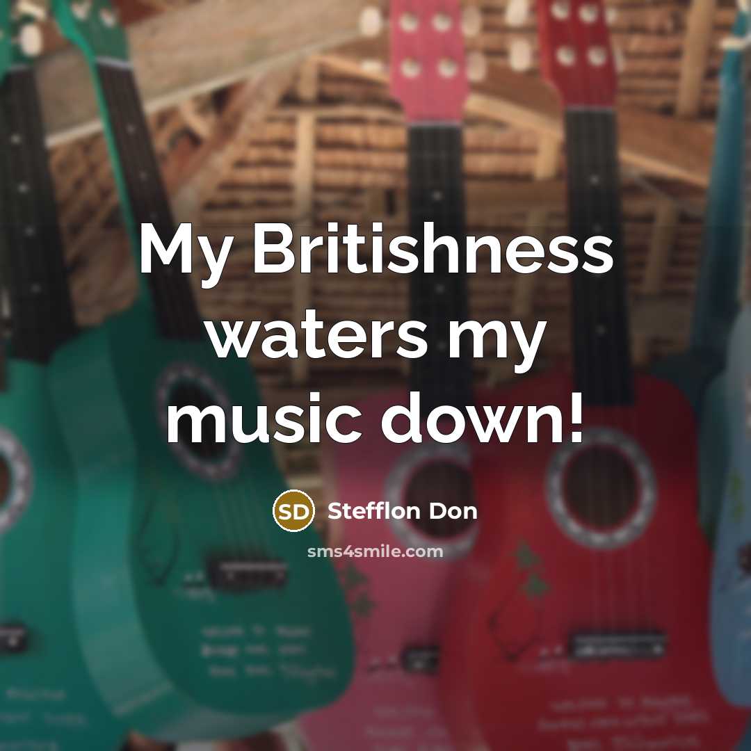 “My Britishness waters my music down!” quote by Stefflon Don