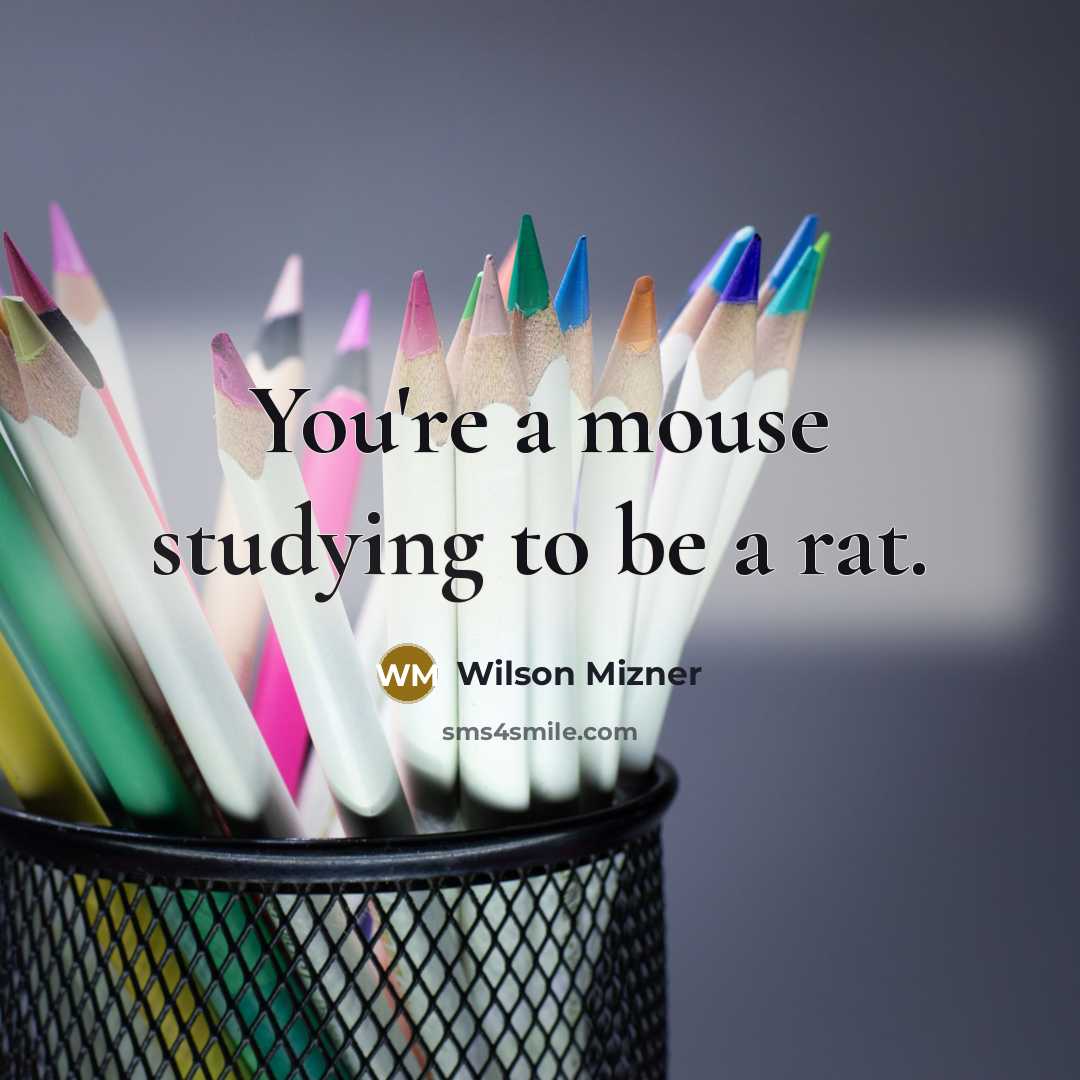 “You're a mouse studying to be a rat.” quote by Wilson Mizner
