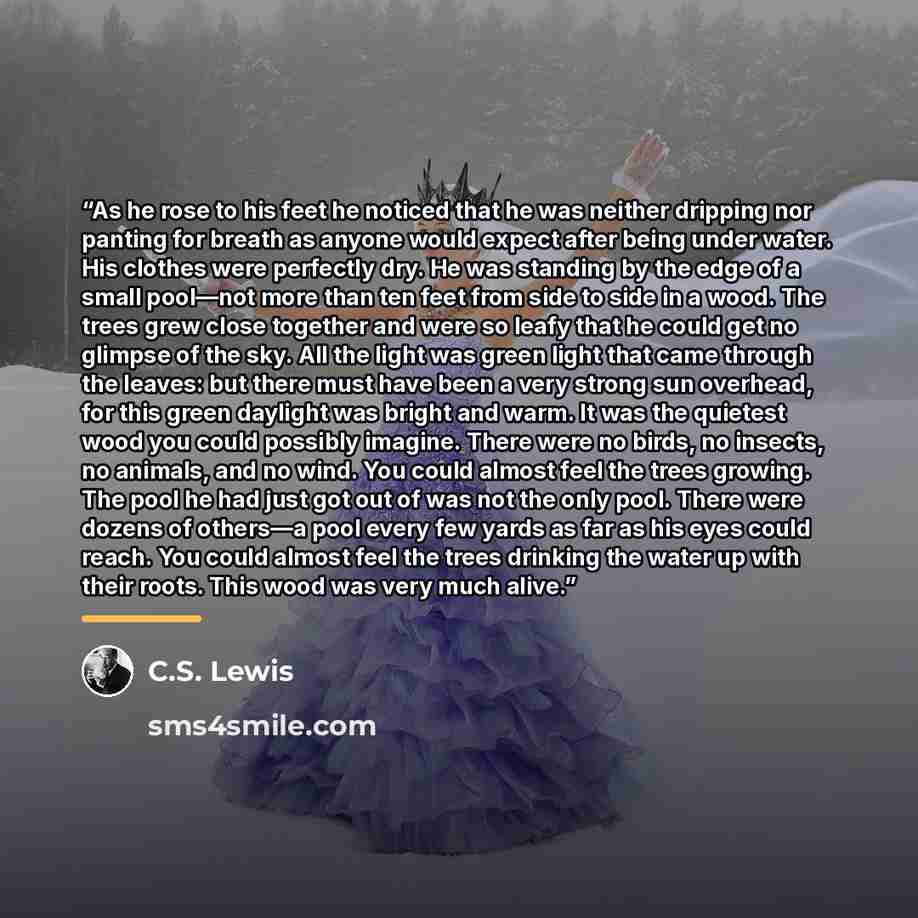 “As he rose to his feet he noticed that he was neither dripping nor panting for breath as anyone would expect after being under water. His clothes were perfectly dry. He was standing by the edge of a small pool—not more than ten feet from side to side in a wood. The trees grew close together and…” quote by C.S. Lewis