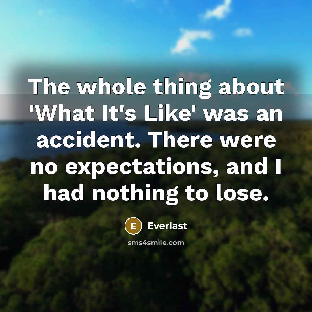 “The whole thing about 'What It's Like' was an accident. There were no expectations, and I had nothing to lose.” quote by Everlast