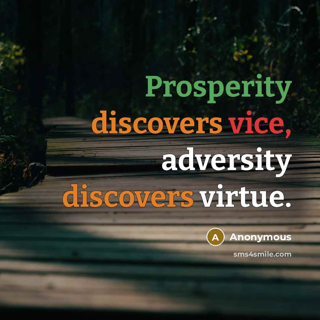 “Prosperity discovers vice, adversity discovers virtue.” quote by Anonymous