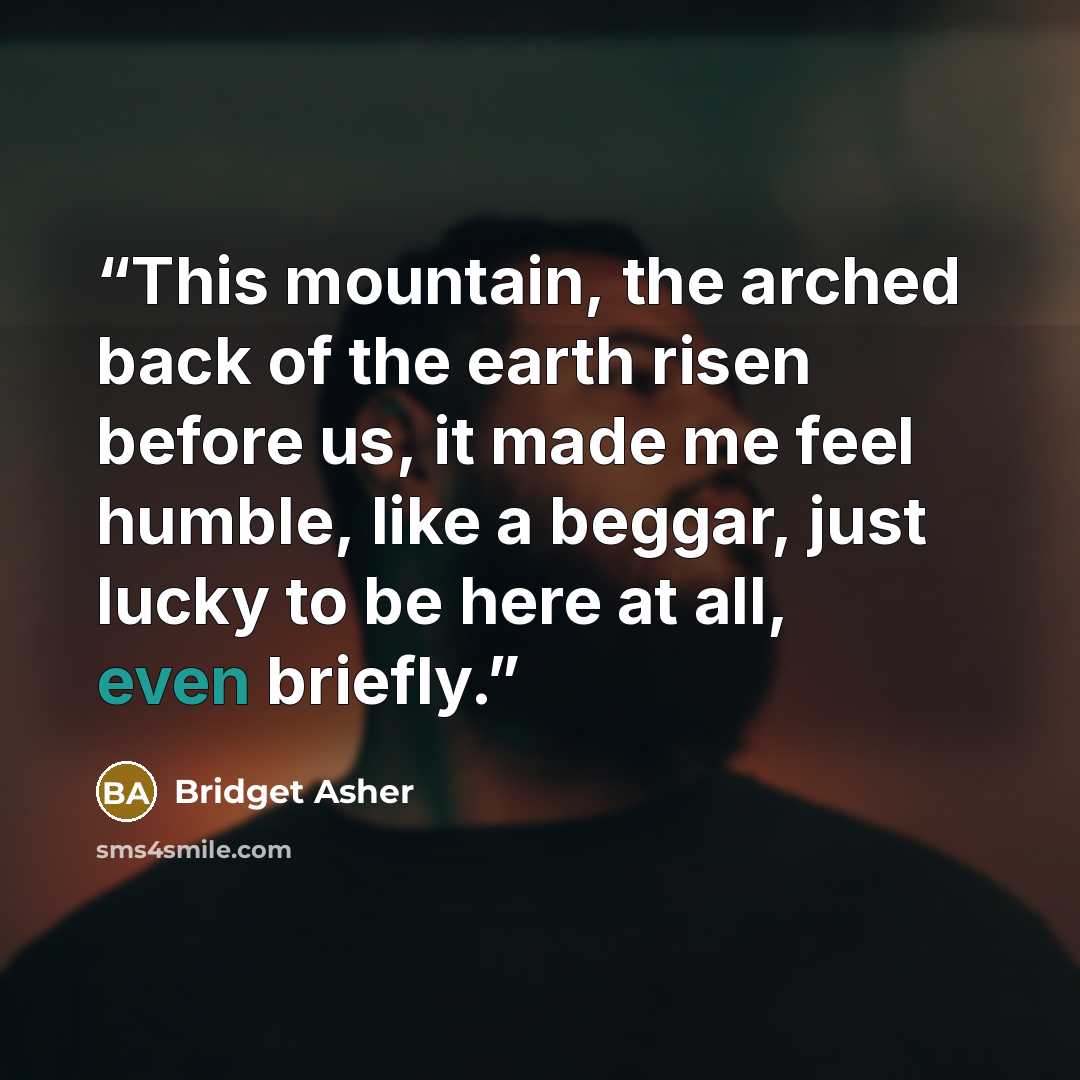 “This mountain, the arched back of the earth risen before us, it made me feel humble, like a beggar, just lucky to be here at all, even briefly.” quote by Bridget Asher