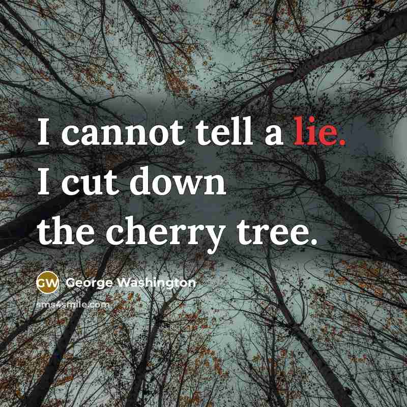 “I cannot tell a lie. I cut down the cherry tree.” quote by George Washington