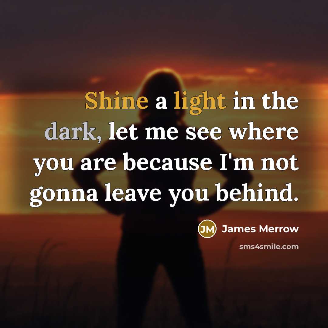 “Shine a light in the dark, let me see where you are because I'm not gonna leave you behind.” quote by James Merrow