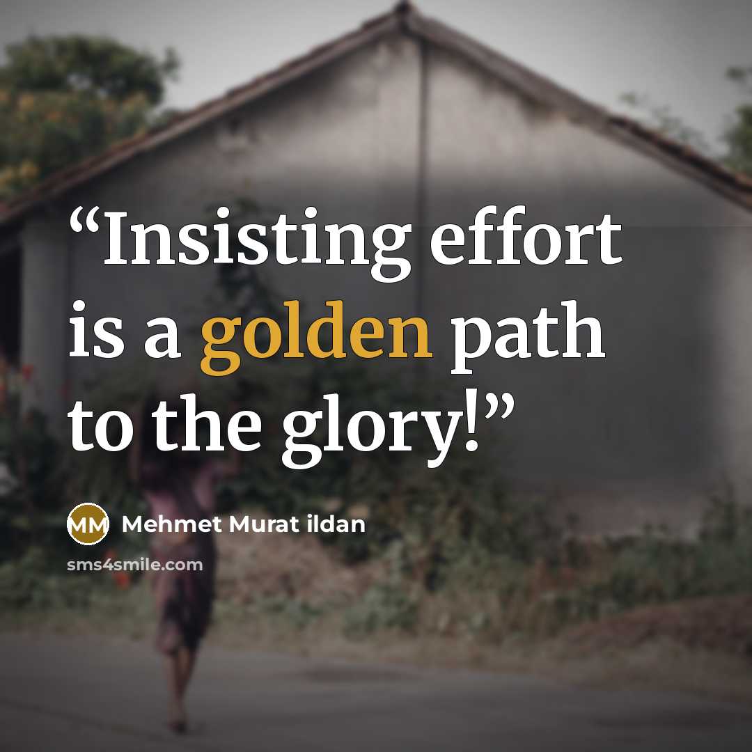“Insisting effort is a golden path to the glory!” quote by Mehmet Murat ildan