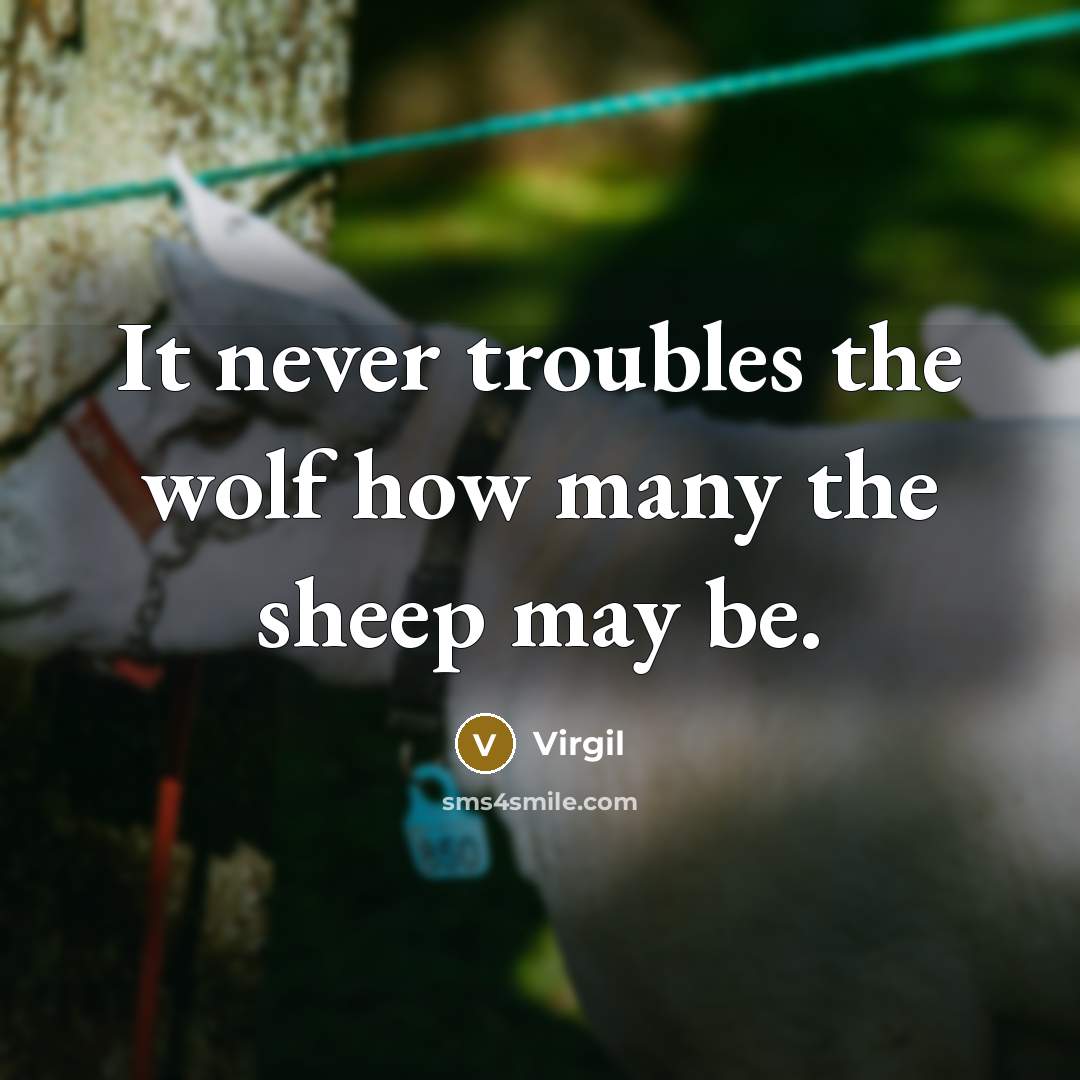 “It never troubles the wolf how many the sheep may be.” quote by Virgil
