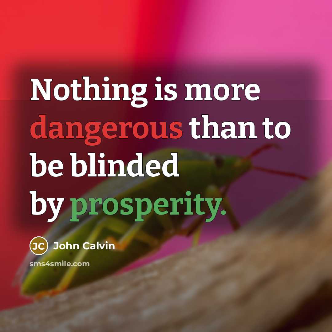 “Nothing is more dangerous than to be blinded by prosperity.” quote by John Calvin