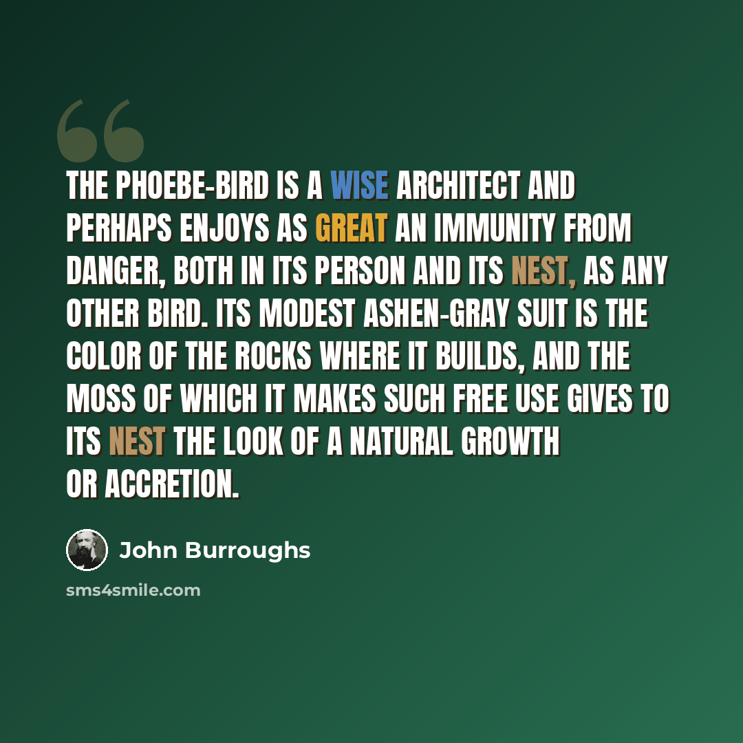 “The phoebe-bird is a wise architect and perhaps enjoys as great an immunity from danger, both in its person and its nest, as any other bird. Its modest ashen-gray suit is the color of the rocks where it builds, and the moss of which it makes such free use gives to its nest the look of a natural…” quote by John Burroughs