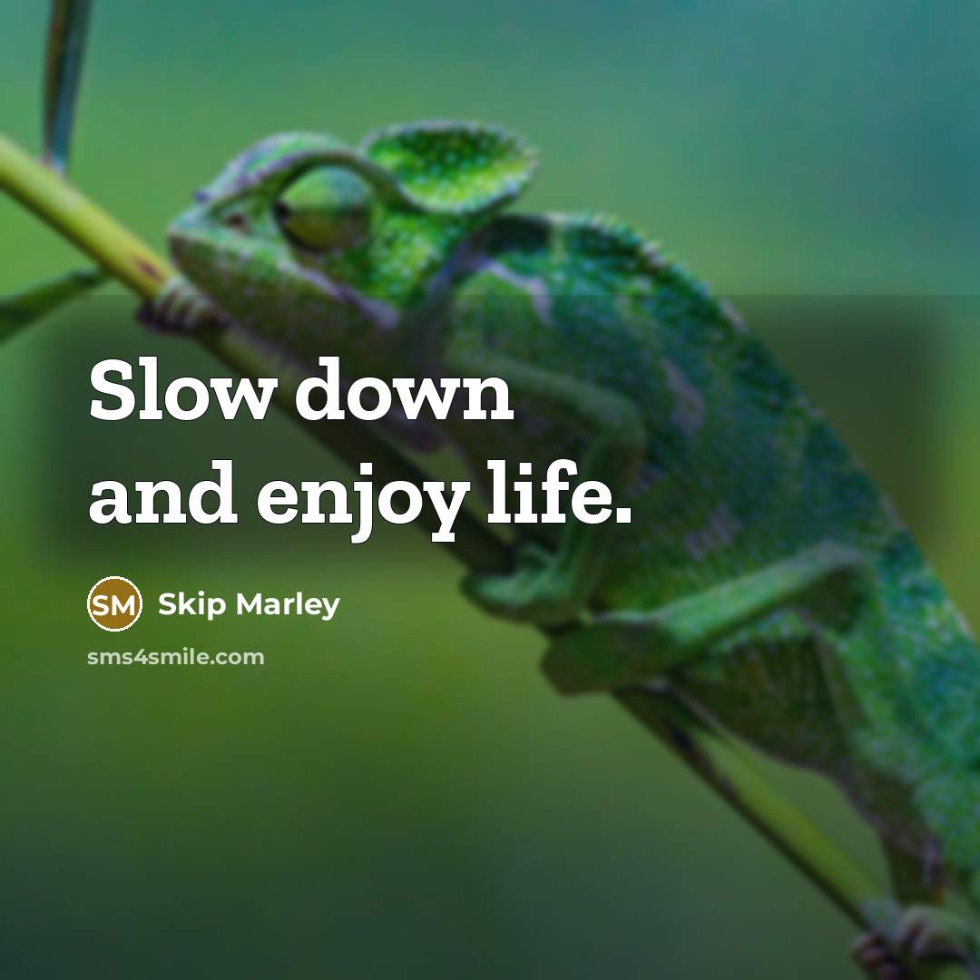 “Slow down and enjoy life.” quote by Skip Marley