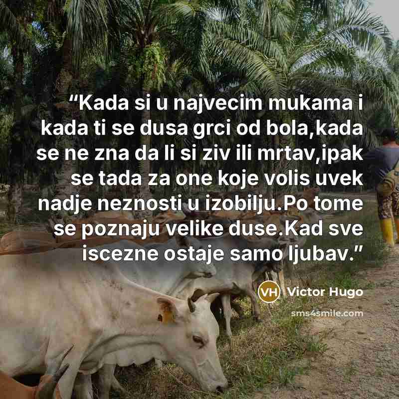 “Kada si u najvecim mukama i kada ti se dusa grci od bola,kada se ne zna da li si ziv ili mrtav,ipak se tada za one koje volis uvek nadje neznosti u izobilju.Po tome se poznaju velike duse.Kad sve iscezne ostaje samo ljubav.” quote by Victor Hugo