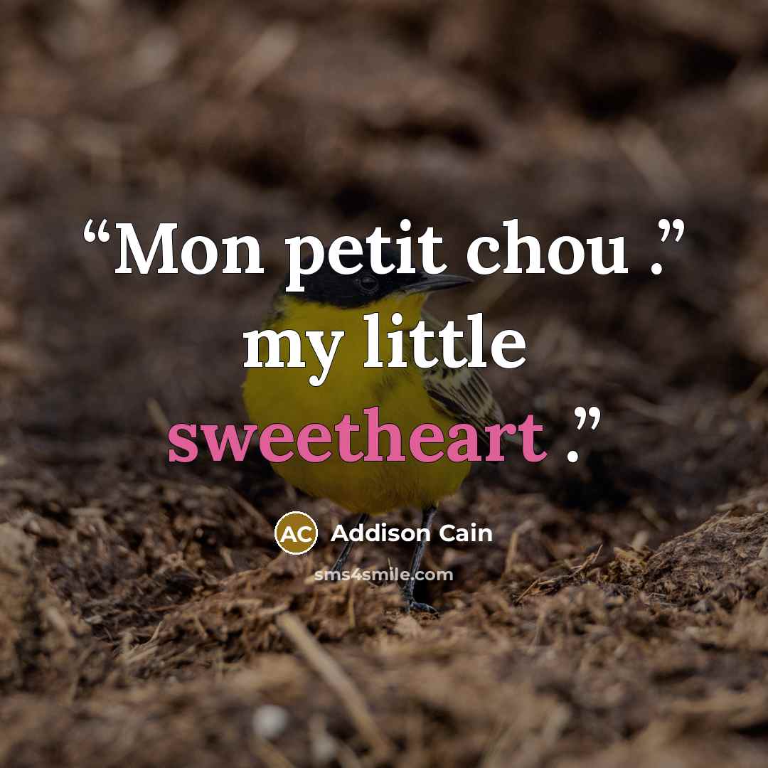 “Mon petit chou .” my little sweetheart .” quote by Addison Cain