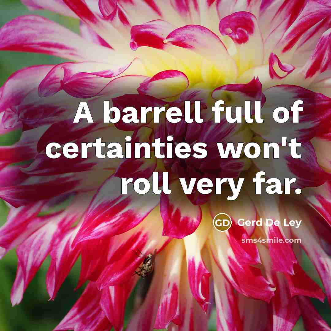 “A barrell full of certainties won't roll very far.” quote by Gerd de Ley