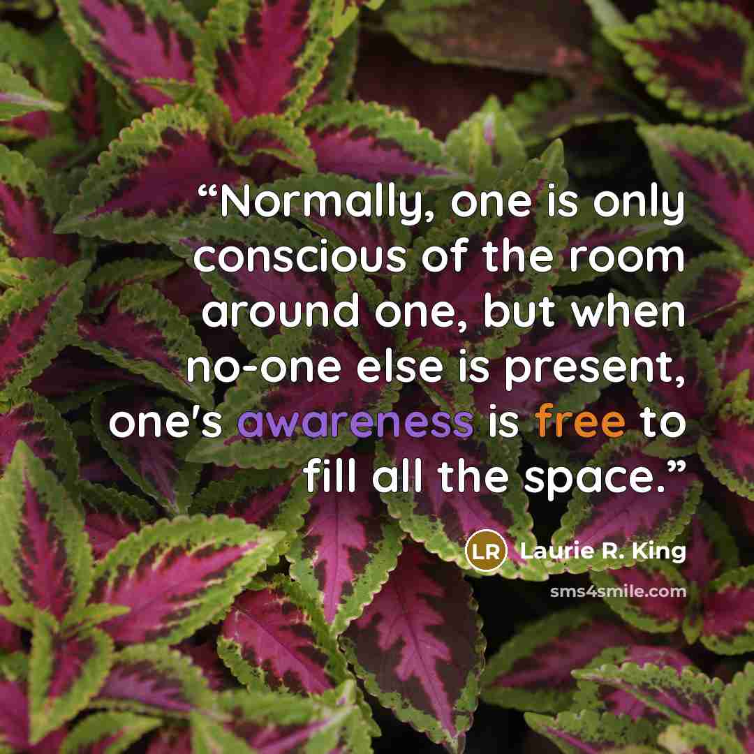 “Normally, one is only conscious of the room around one, but when no-one else is present, one's awareness is free to fill all the space.” quote by Laurie R. King