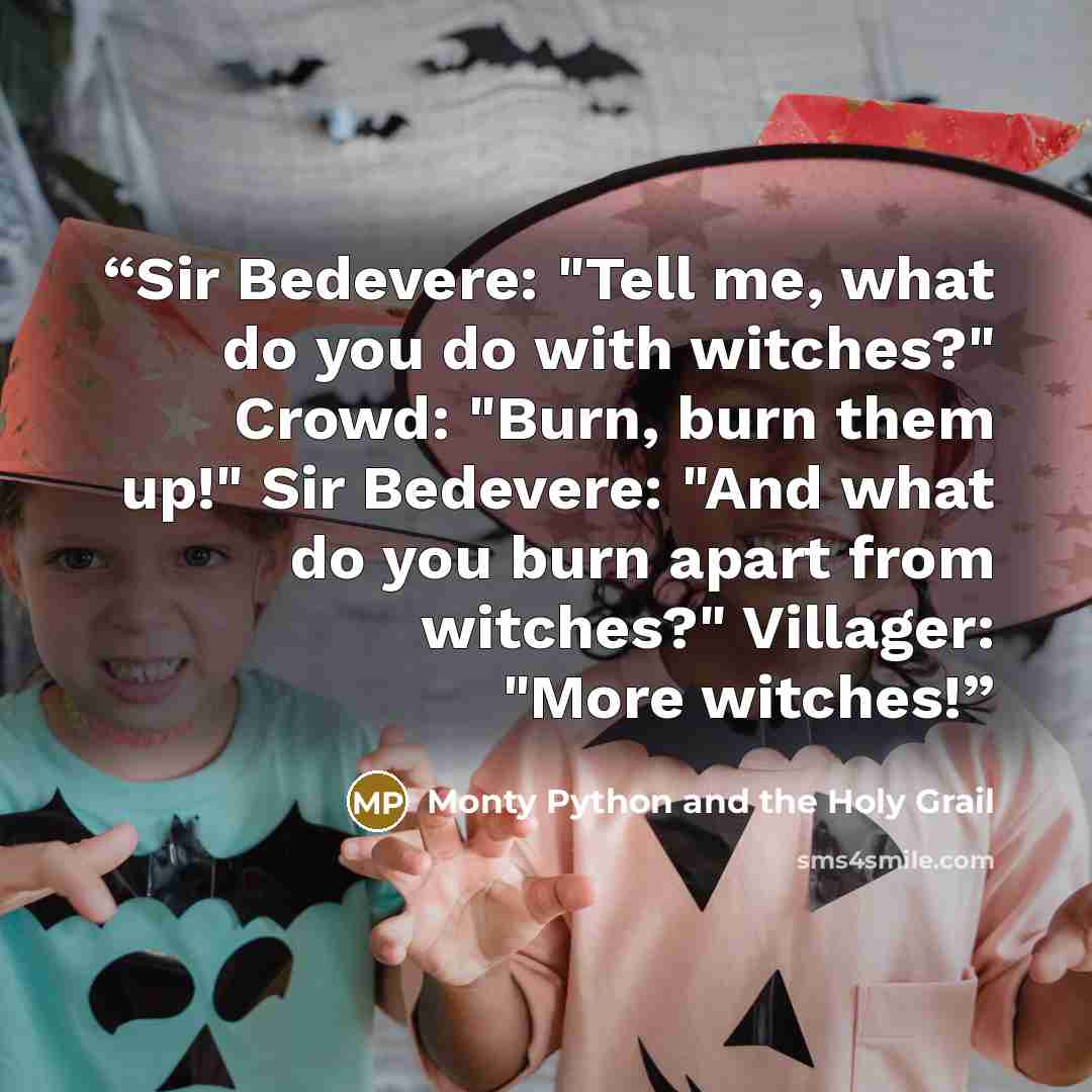 “Sir Bedevere: "Tell me, what do you do with witches?" Crowd: "Burn, burn them up!" Sir Bedevere: "And what do you burn apart from witches?" Villager: "More witches!” quote by Monty Python and the Holy Grail