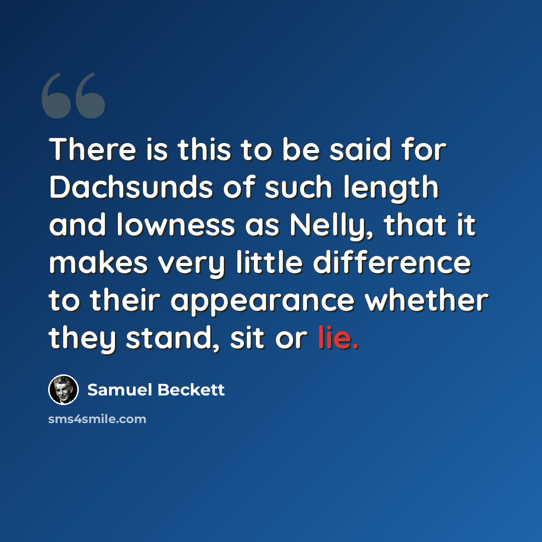 “There is this to be said for Dachsunds of such length and lowness as Nelly, that it makes very little difference to their appearance whether they stand, sit or lie.” quote by Samuel Beckett