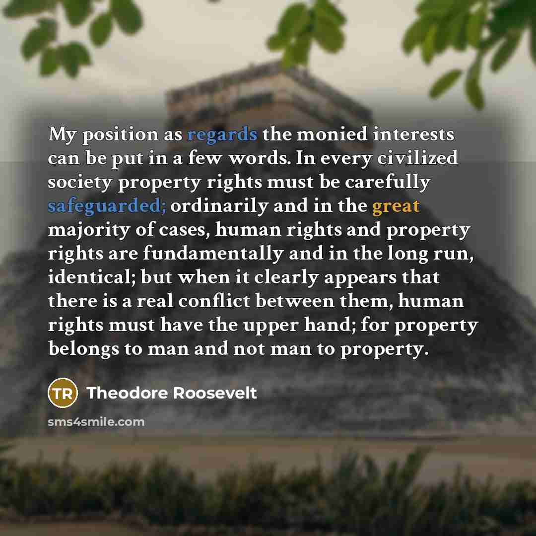 “My position as regards the monied interests can be put in a few words. In every civilized society property rights must be carefully safeguarded; ordinarily and in the great majority of cases, human rights and property rights are fundamentally and in the long run, identical; but when it clearly…” quote by Theodore Roosevelt