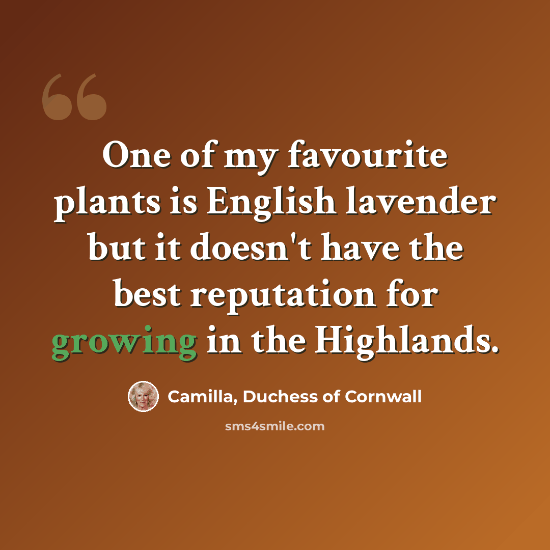 “One of my favourite plants is English lavender but it doesn't have the best reputation for growing in the Highlands.” quote by Camilla, Duchess of Cornwall