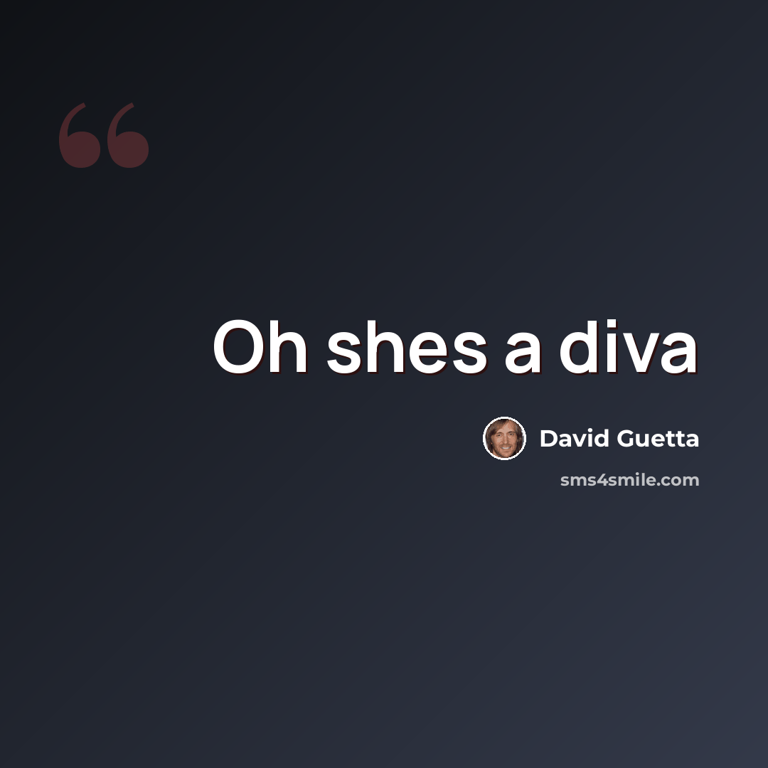 “Oh shes a diva” quote by David Guetta