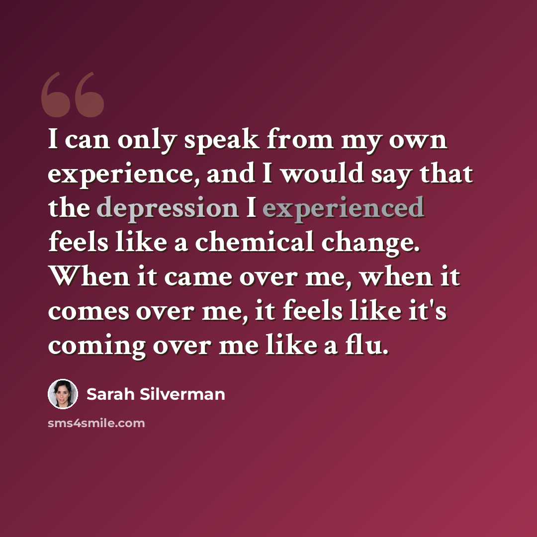 “I can only speak from my own experience, and I would say that the depression I experienced feels like a chemical change. When it came over me, when it comes over me, it feels like it's coming over me like a flu.” quote by Sarah Silverman