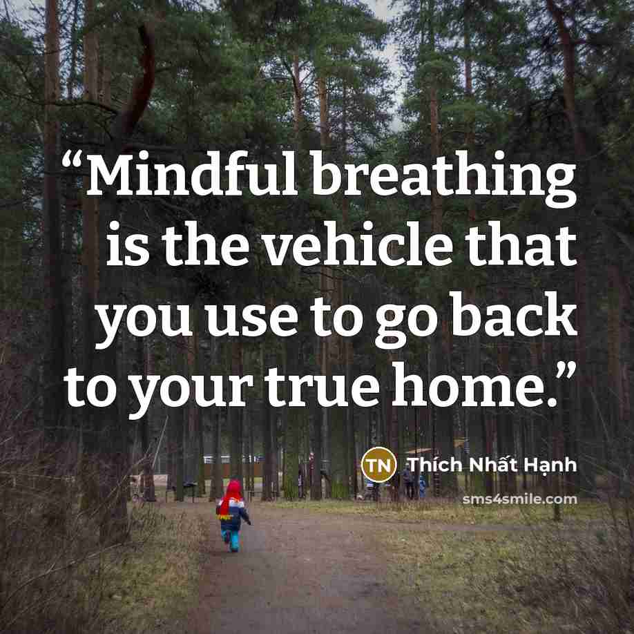 “Mindful breathing is the vehicle that you use to go back to your true home.” quote by Thích Nhất Hạnh