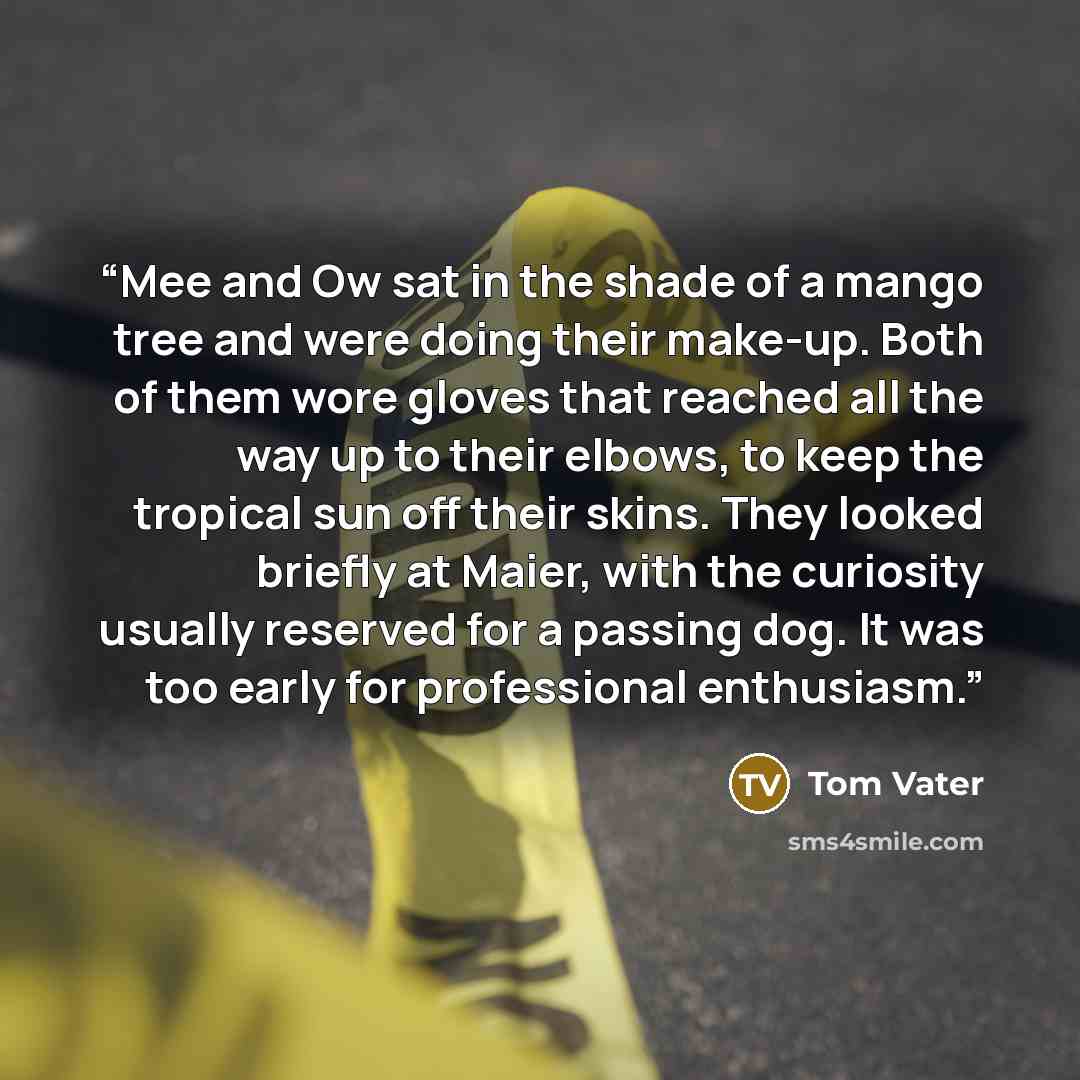 “Mee and Ow sat in the shade of a mango tree and were doing their make-up. Both of them wore gloves that reached all the way up to their elbows, to keep the tropical sun off their skins. They looked briefly at Maier, with the curiosity usually reserved for a passing dog. It was too early for…” quote by Tom Vater