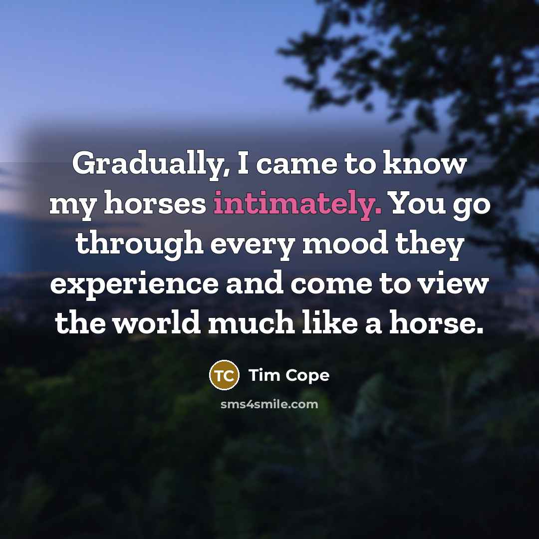 “Gradually, I came to know my horses intimately. You go through every mood they experience and come to view the world much like a horse.” quote by Tim Cope