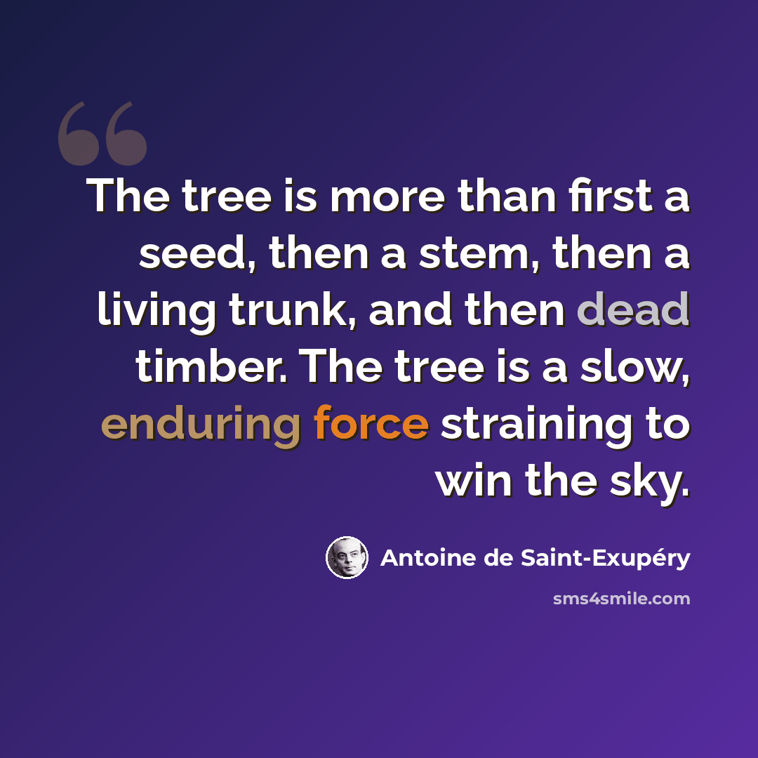 “The tree is more than first a seed, then a stem, then a living trunk, and then dead timber. The tree is a slow, enduring force straining to win the sky.” quote by Antoine de Saint-Exupery