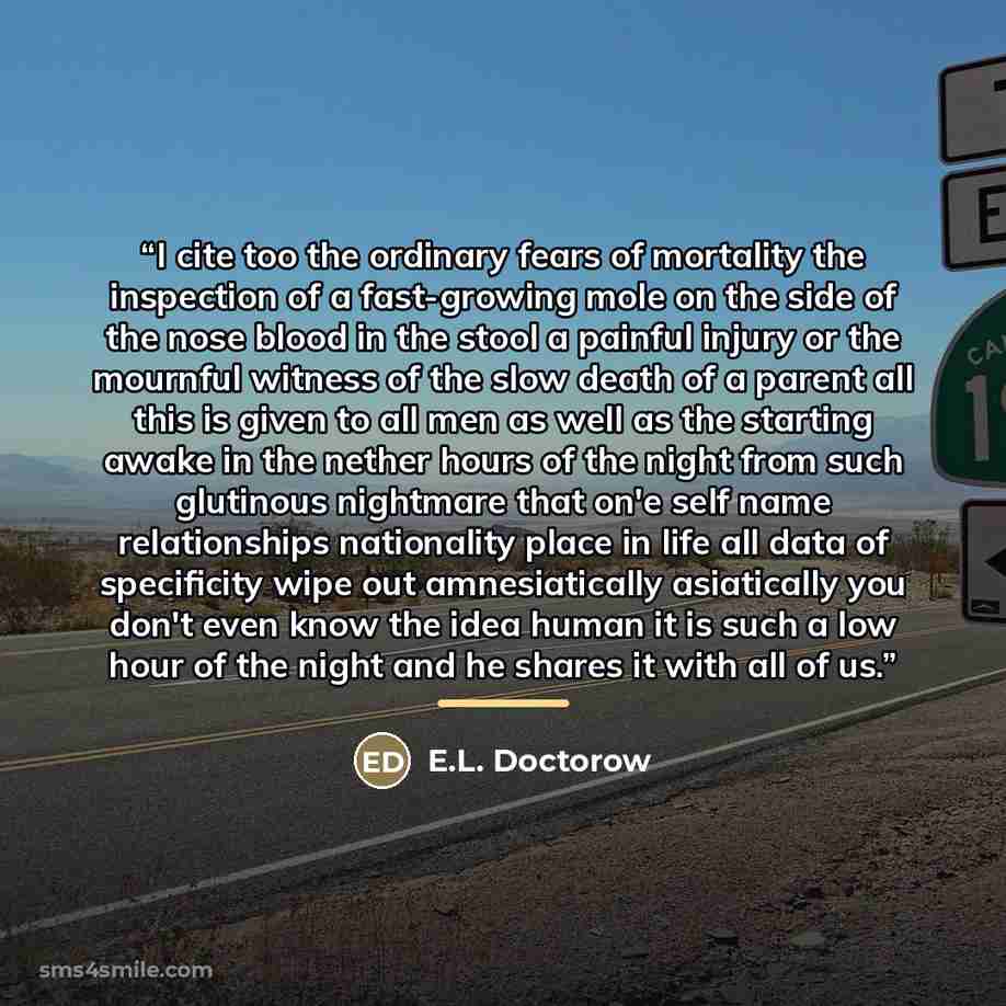“I cite too the ordinary fears of mortality the inspection of a fast-growing mole on the side of the nose blood in the stool a painful injury or the mournful witness of the slow death of a parent all this is given to all men as well as the starting awake in the nether hours of the night from such…” quote by E.L. Doctorow