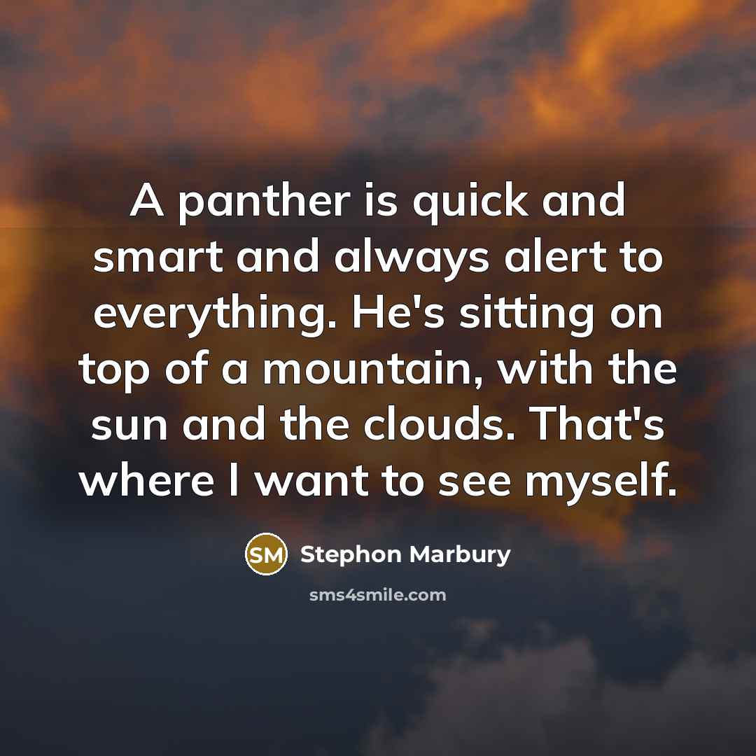 “A panther is quick and smart and always alert to everything. He's sitting on top of a mountain, with the sun and the clouds. That's where I want to see myself.” quote by Stephon Marbury