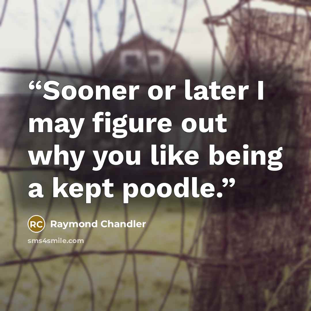 “Sooner or later I may figure out why you like being a kept poodle.” quote by Raymond Chandler