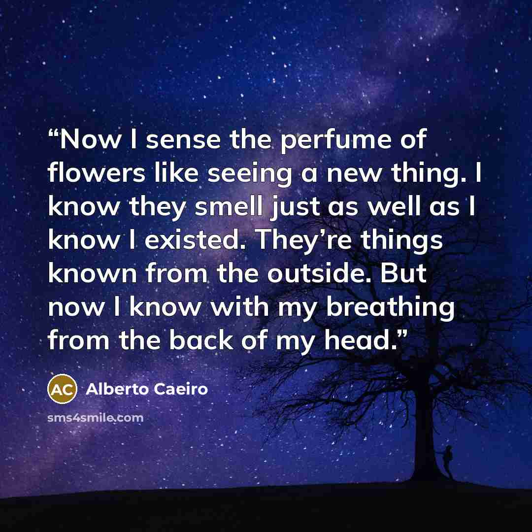 “Now I sense the perfume of flowers like seeing a new thing. I know they smell just as well as I know I existed. They’re things known from the outside. But now I know with my breathing from the back of my head.” quote by Alberto Caeiro