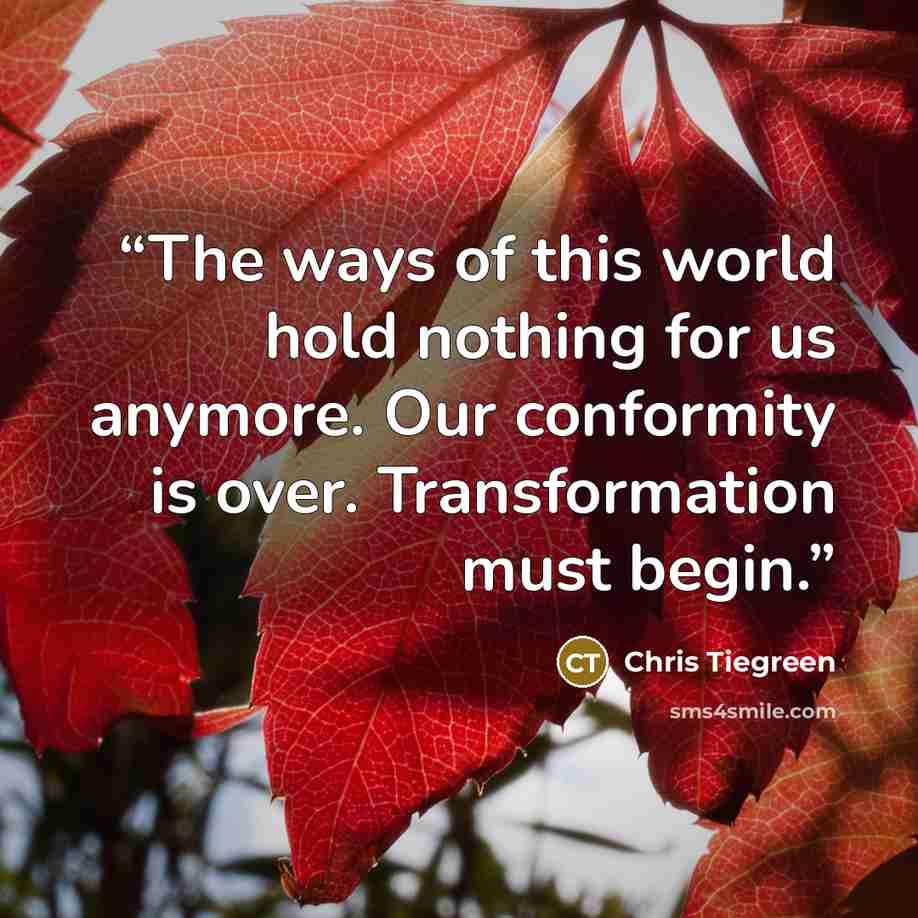 “The ways of this world hold nothing for us anymore. Our conformity is over. Transformation must begin.” quote by Chris Tiegreen