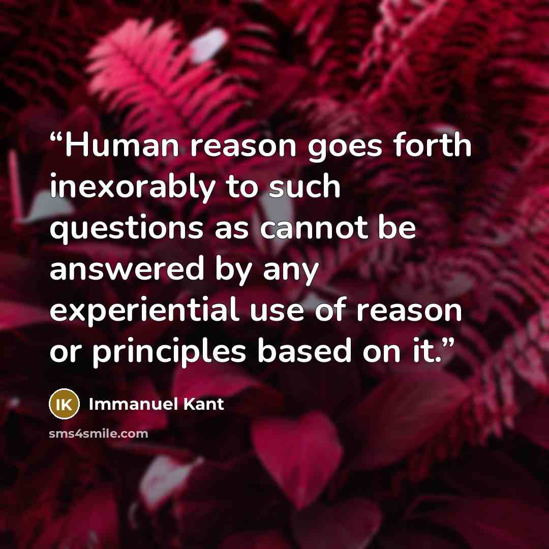 “Human reason goes forth inexorably to such questions as cannot be answered by any experiential use of reason or principles based on it.” quote by Immanuel Kant