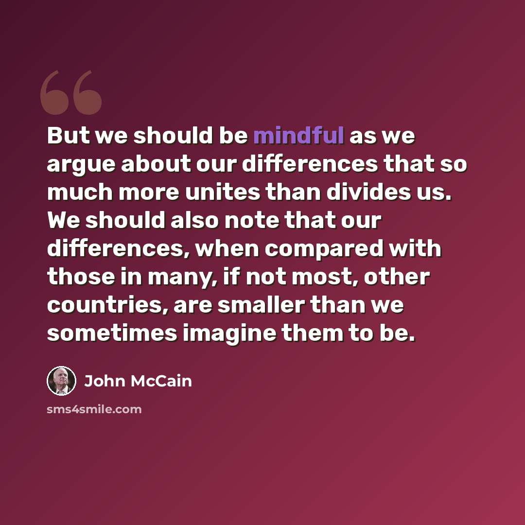 “But we should be mindful as we argue about our differences that so much more unites than divides us. We should also note that our differences, when compared with those in many, if not most, other countries, are smaller than we sometimes imagine them to be.” quote by John McCain