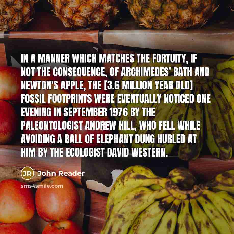 “In a manner which matches the fortuity, if not the consequence, of Archimedes' bath and Newton's apple, the [3.6 million year old] fossil footprints were eventually noticed one evening in September 1976 by the paleontologist Andrew Hill, who fell while avoiding a ball of elephant dung hurled at…” quote by John Reader